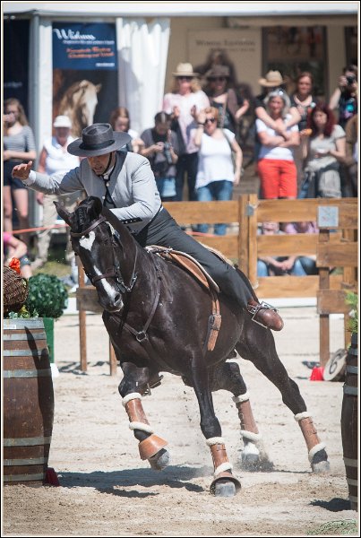 Pferd International 091